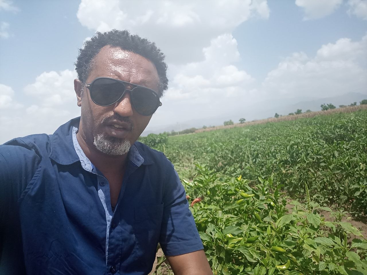 Agribusiness Development & Strategic Growth project 5