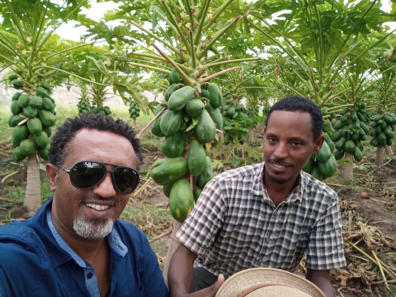 Agribusiness Development & Strategic Growth project 7