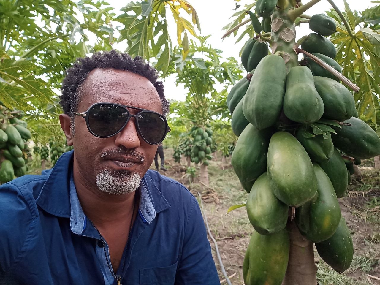 Agricultural Productivity & Sustainability project 1