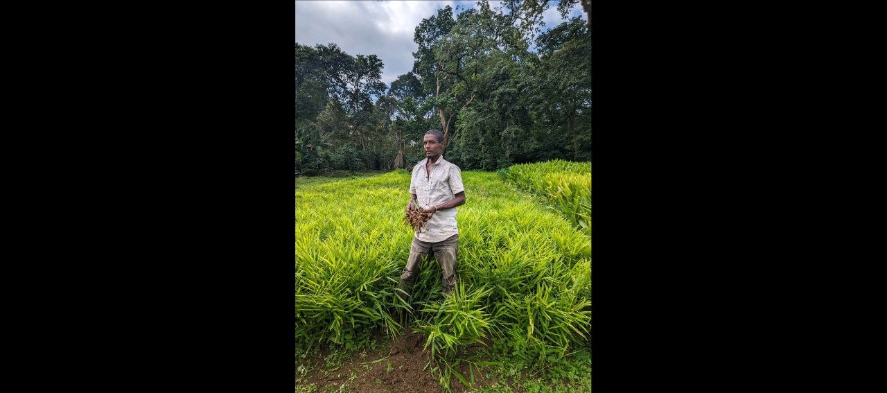 Agricultural Productivity & Sustainability project 6